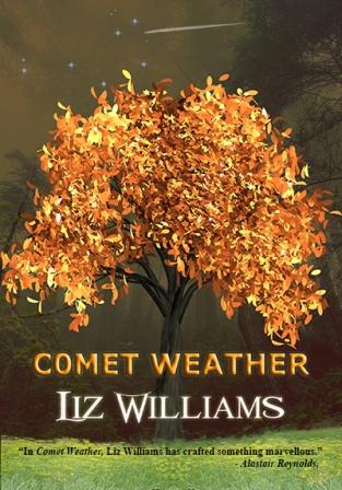 COMET WEATHER - signed limited edition.